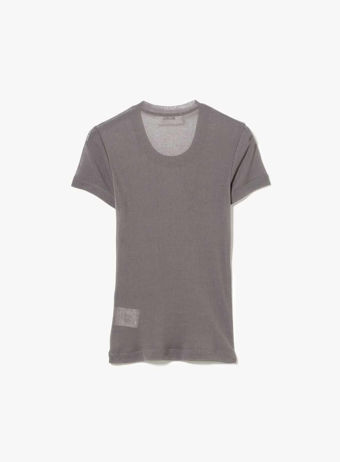 Sheer T-Shirt