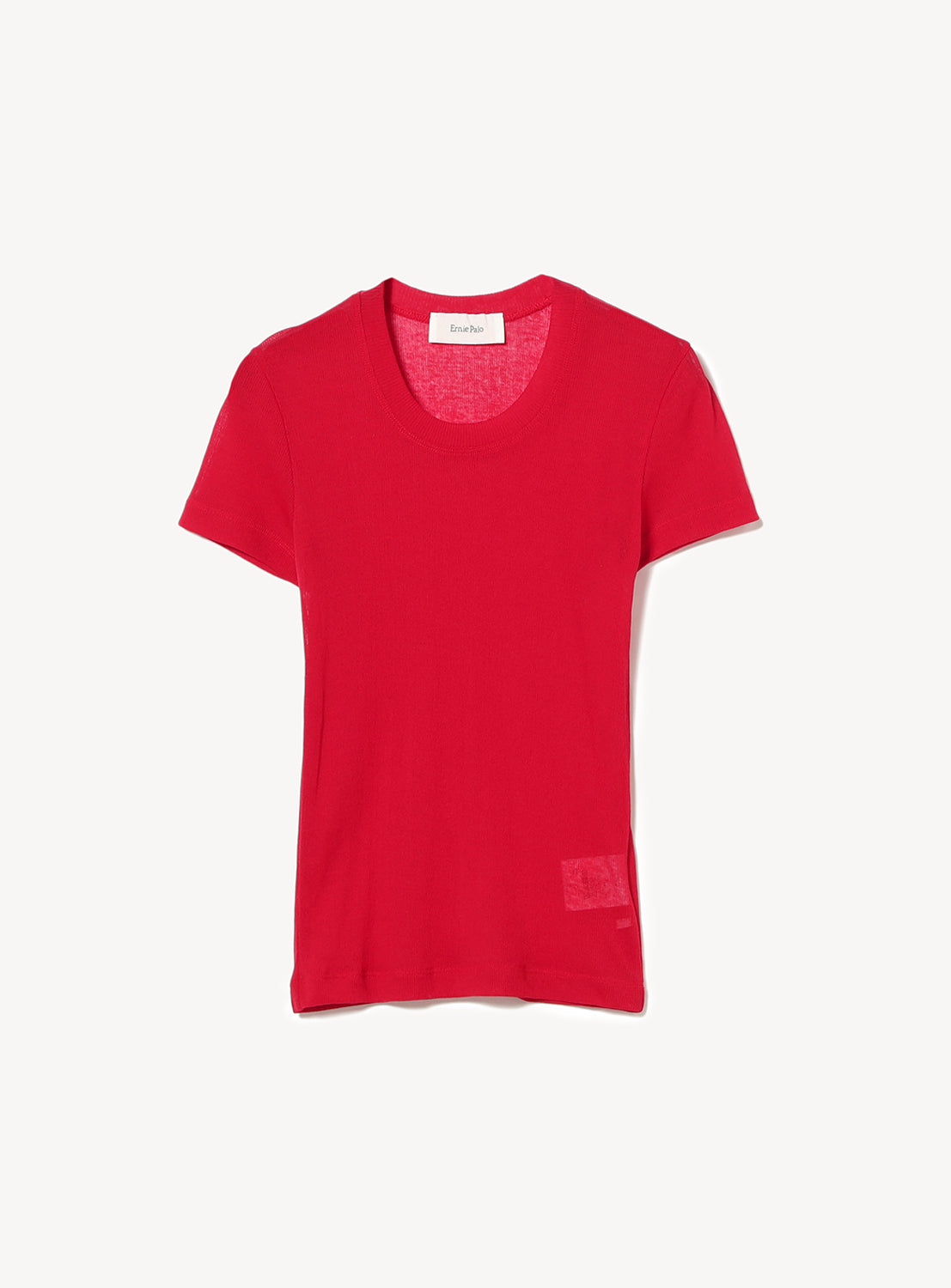 Sheer T-Shirt