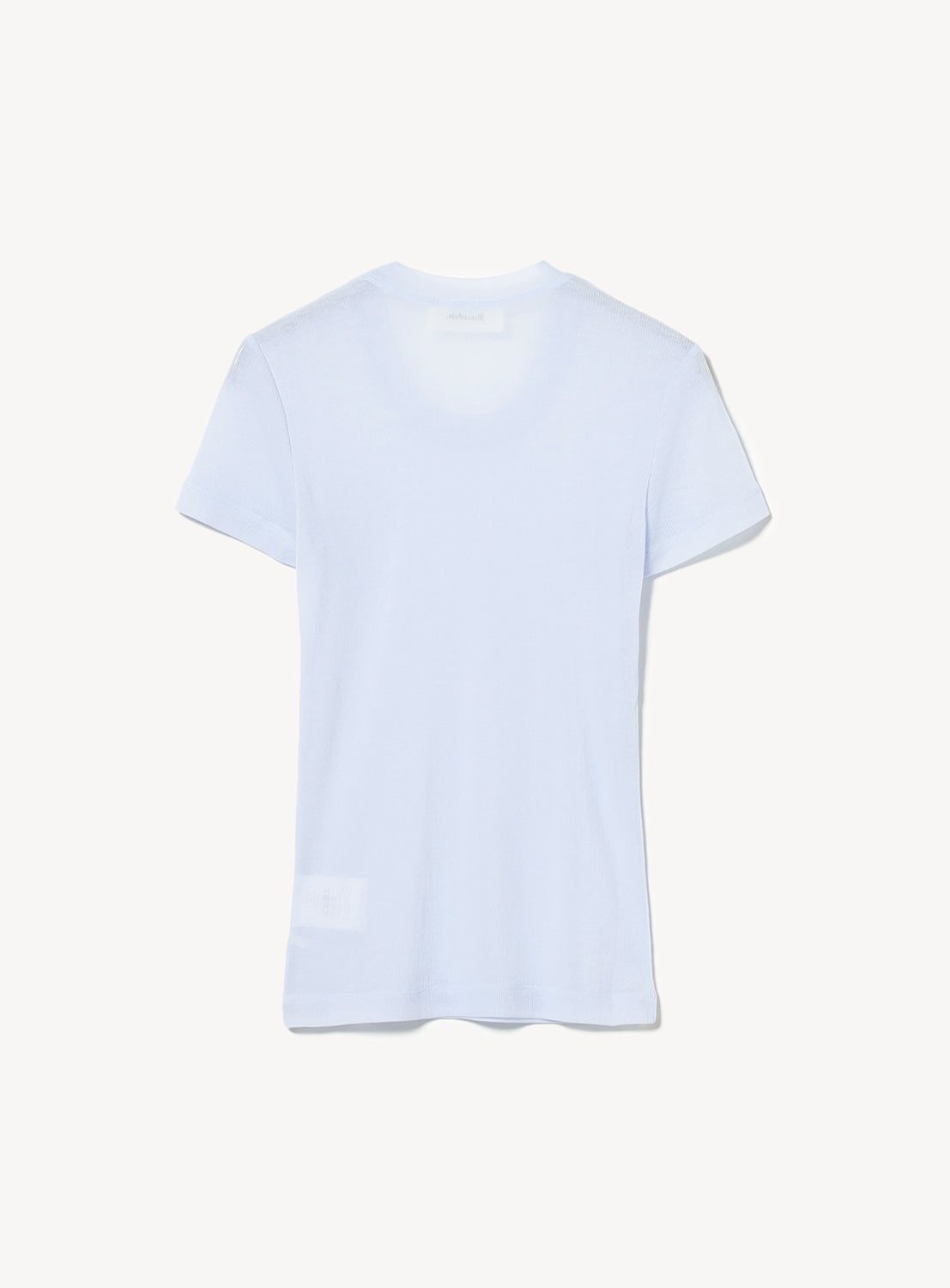Sheer T-Shirt