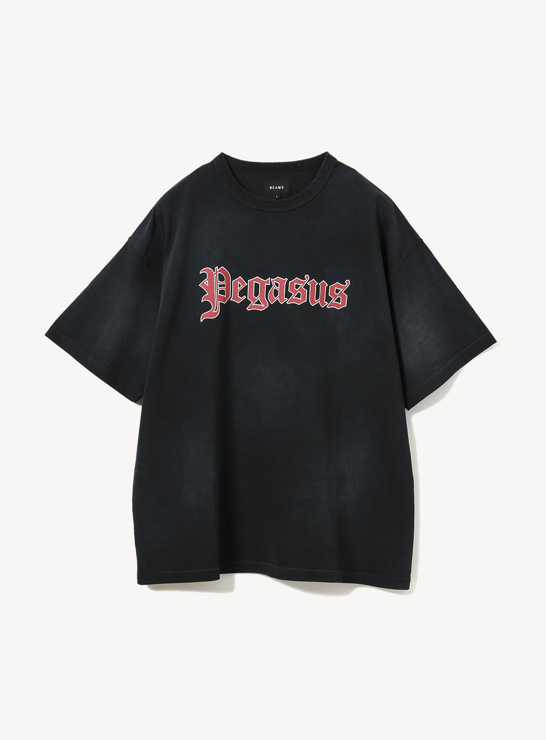 Souvenir T-Shirt