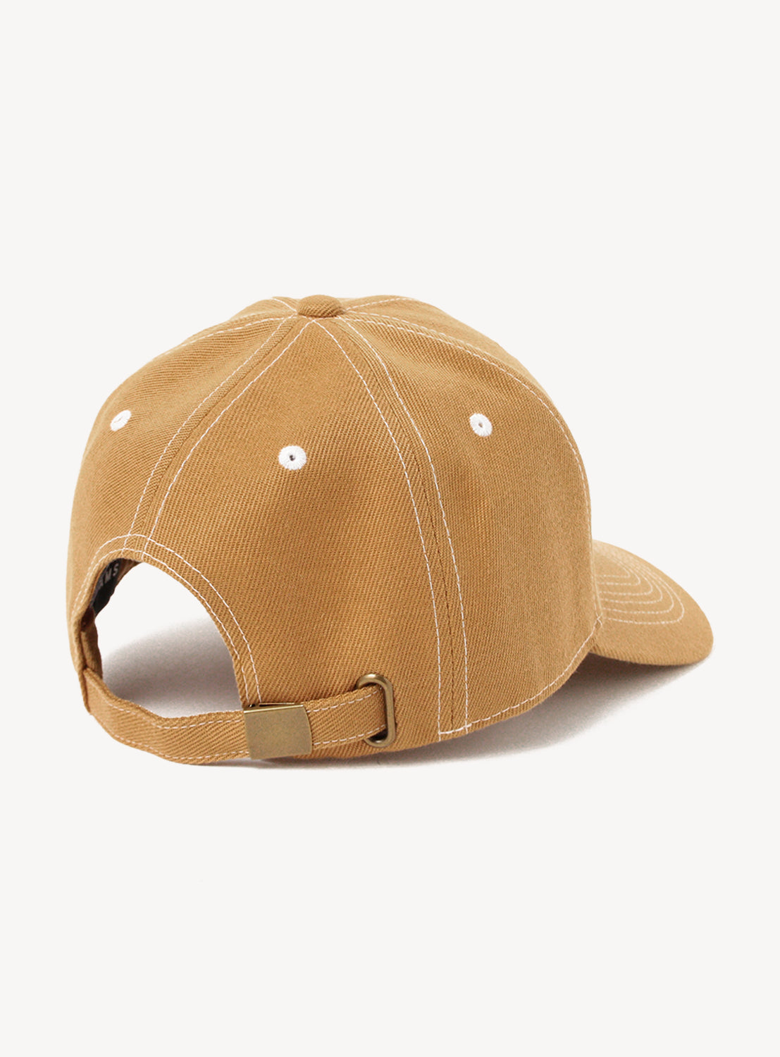 BMS Logo 6-Panel Cap