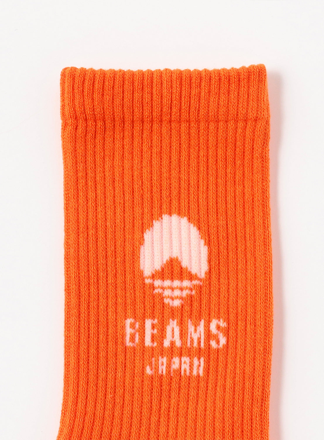 Tsugaku Kaisoku x BEAMS Japan Logo Socks