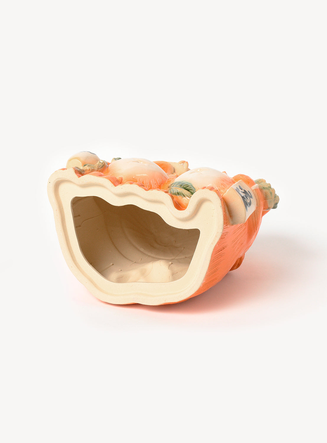 アライグマのカップル