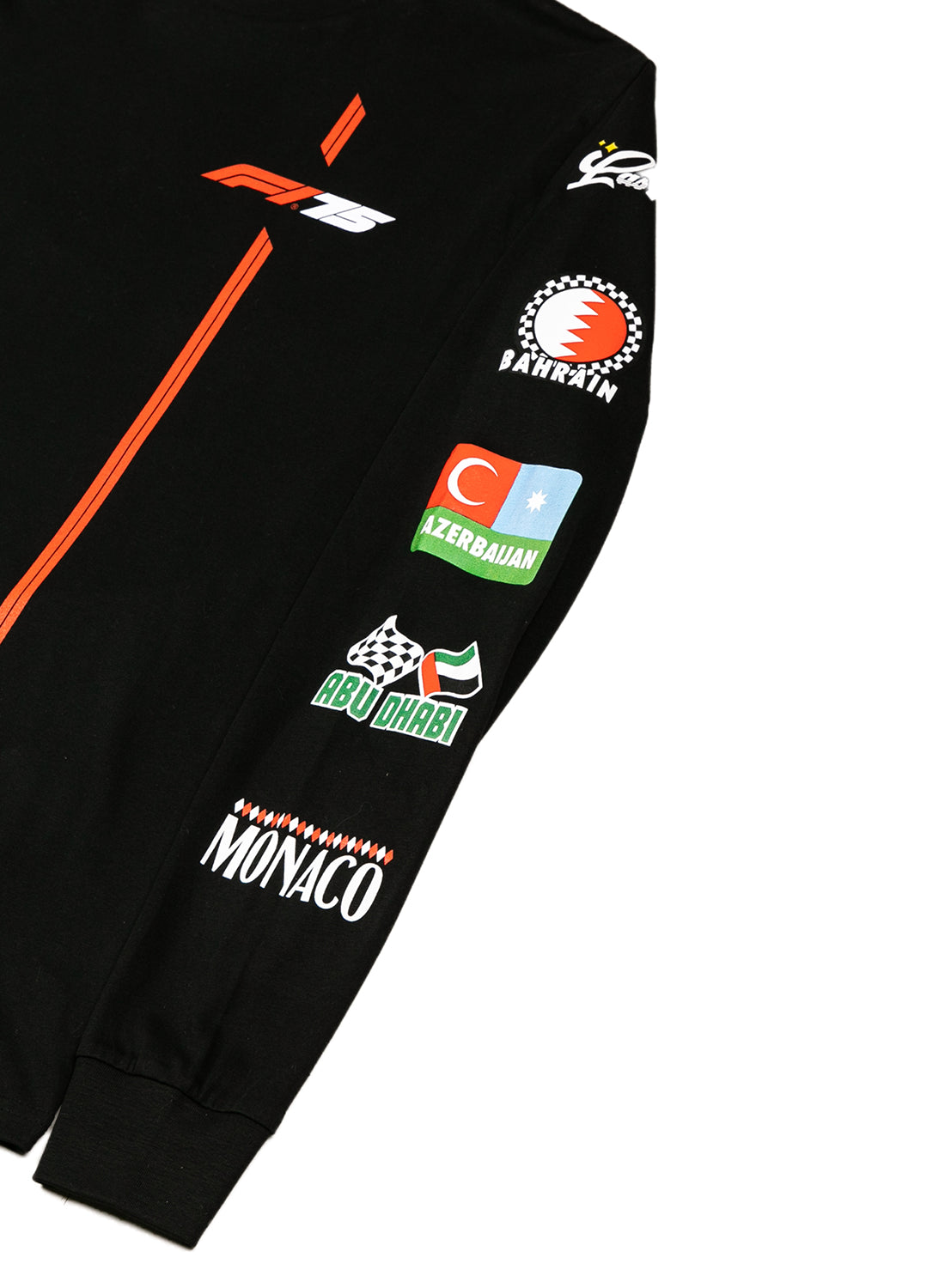 Close up of the location logos and the F1 75 year logo. 