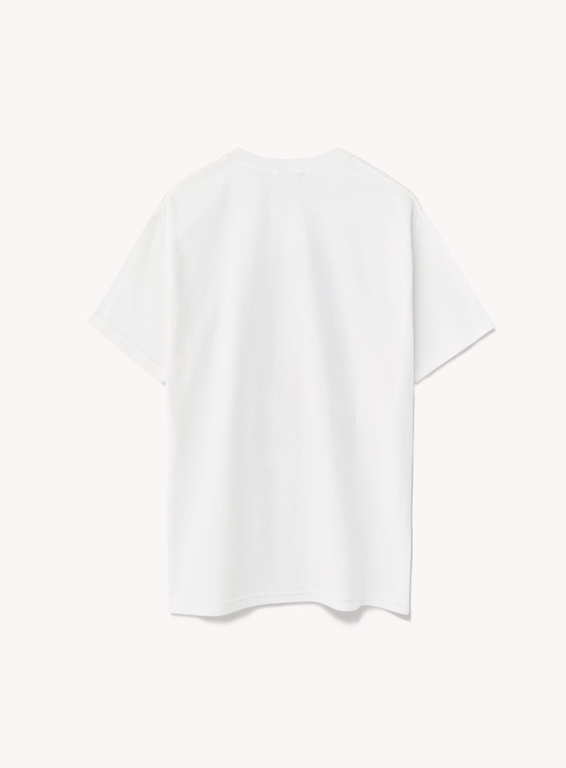 GODZILLA THE ART  USHIKI TEE