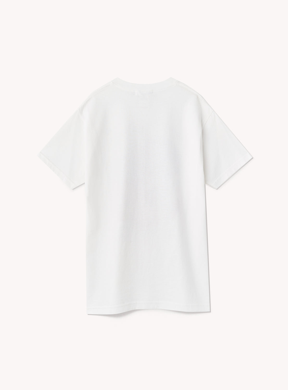 GODZILLA THE ART OKAWA TEE